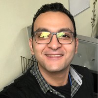 Bassem Fekry