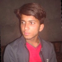 Tehseen Javed