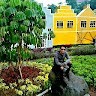 Sandi Hidayat