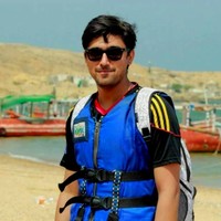 Syed Muhammad Danish Abbas