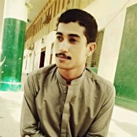Najeeb rasheed