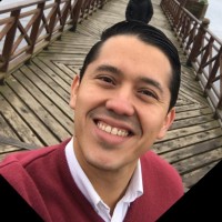Luis Eduardo Sulbaran Flores