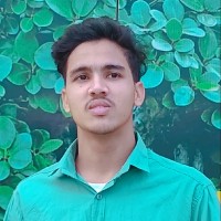 Ashu Maurya