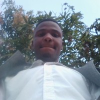 Chico Antonio albino