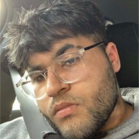 Amir Hussain