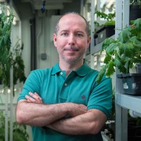 José A. Aznar-Moreno