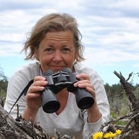 Karin Pettersson Sandmark