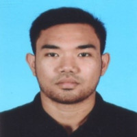 Ir. Ts. Muhammad Anas