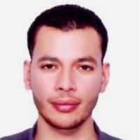 Rami T. Elsayed