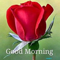 Abdul Qayyum Mehar