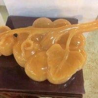 赵智慧