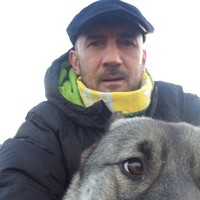 Mark Witherow