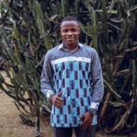 Justice Kelvin Kwadzo Dzameshie