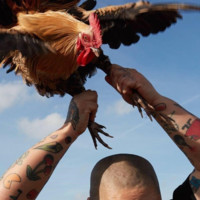 Cathrine Vissing Østerberg