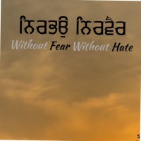 Amit G.
