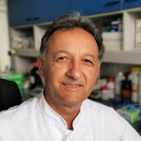 Marius Rusu