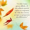 Nair Bezerra De S.Leite