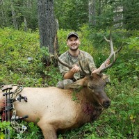Tyler Bouma
