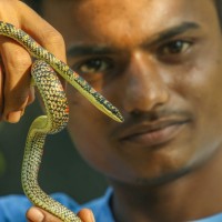 Rishab Kumar Modi