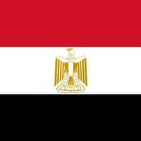 Adel El-Bardisy