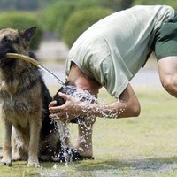 S.M. Mansouri Mostofi