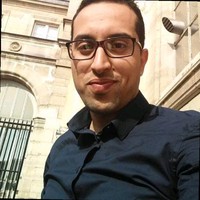 walid hamed