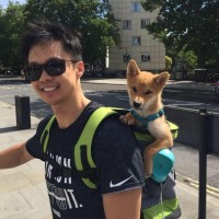 Henry Li