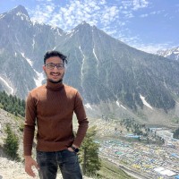 Ca Raghav Pareek