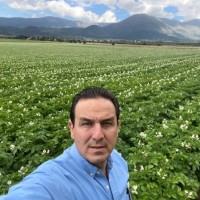 Alejandro Valdez