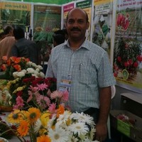 Prasanna Kumar Sharma