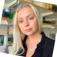 Linn Lund Karlsson