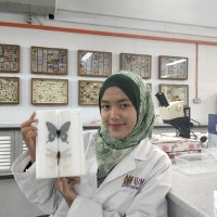 Nur Sofia