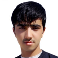 Rafi Arman