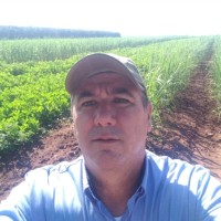 Gregório Serafini