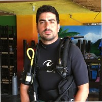 tomer elul