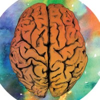 Neuroscience Conference