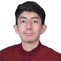 Alex Manuel Vilcacundo Albarracín