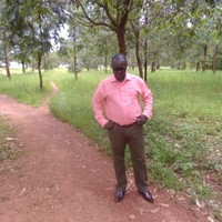 Joao Fernando Fernando