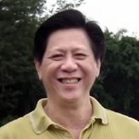 Hammond Tan