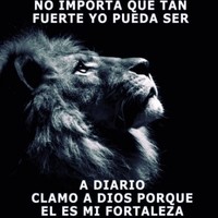 Luis Antonio Z.