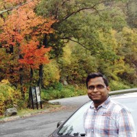 Ravindra Parashar