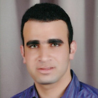 SHADY EL-Mozy