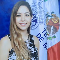 Marcela Licón Sáenz