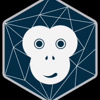 Techmonkey Solution