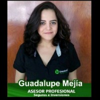 Guadalupe Mejía E de los M