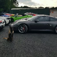 A.C.E K9 SECURITY GROUP LTD