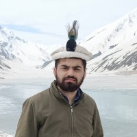 Sachal Tanveer
