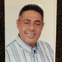 Tamer Ibrahim
