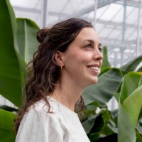 Annelene Sonneveld-Weerheim