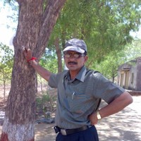 Lagariay Devashi B lagariya